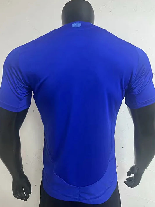 Argentina visitante 24/25 player version.