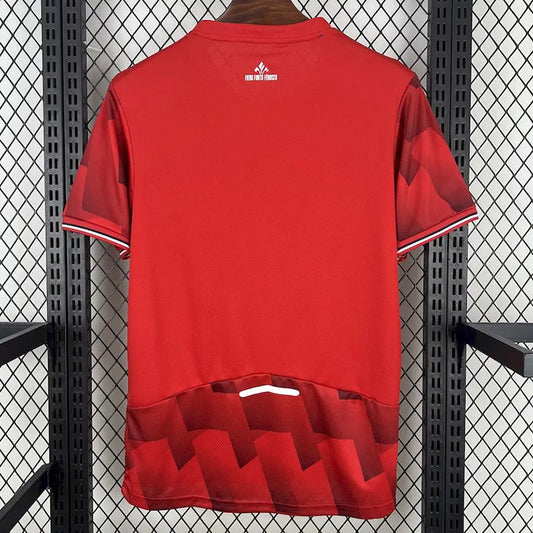 Lille local 25/26 fan version.