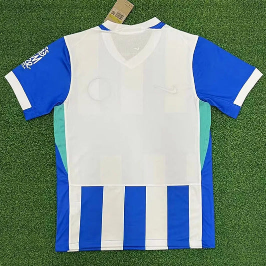 Brighton local 25/26 fan version.