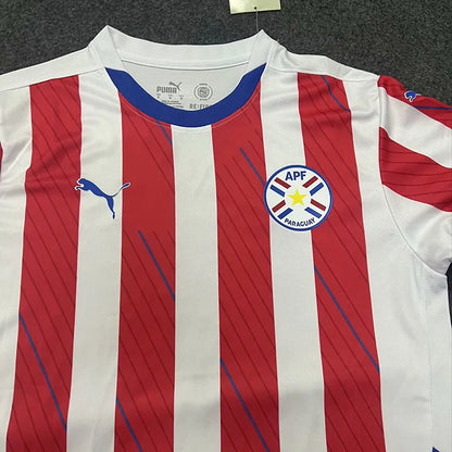 Paraguay local 24/25 fan version.